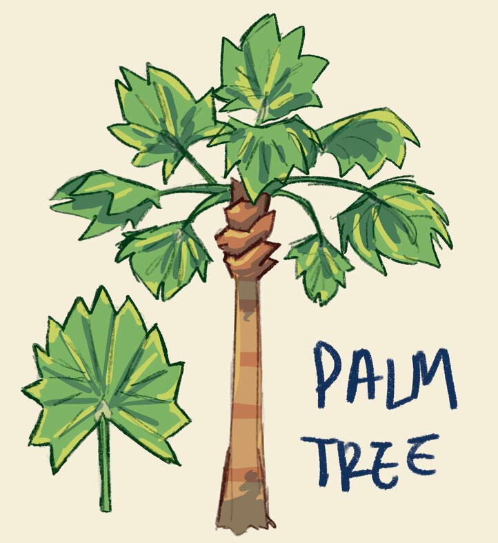 Palm Tree